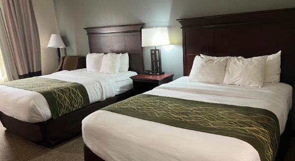 Comfort Inn Shreveport I-49 image 12